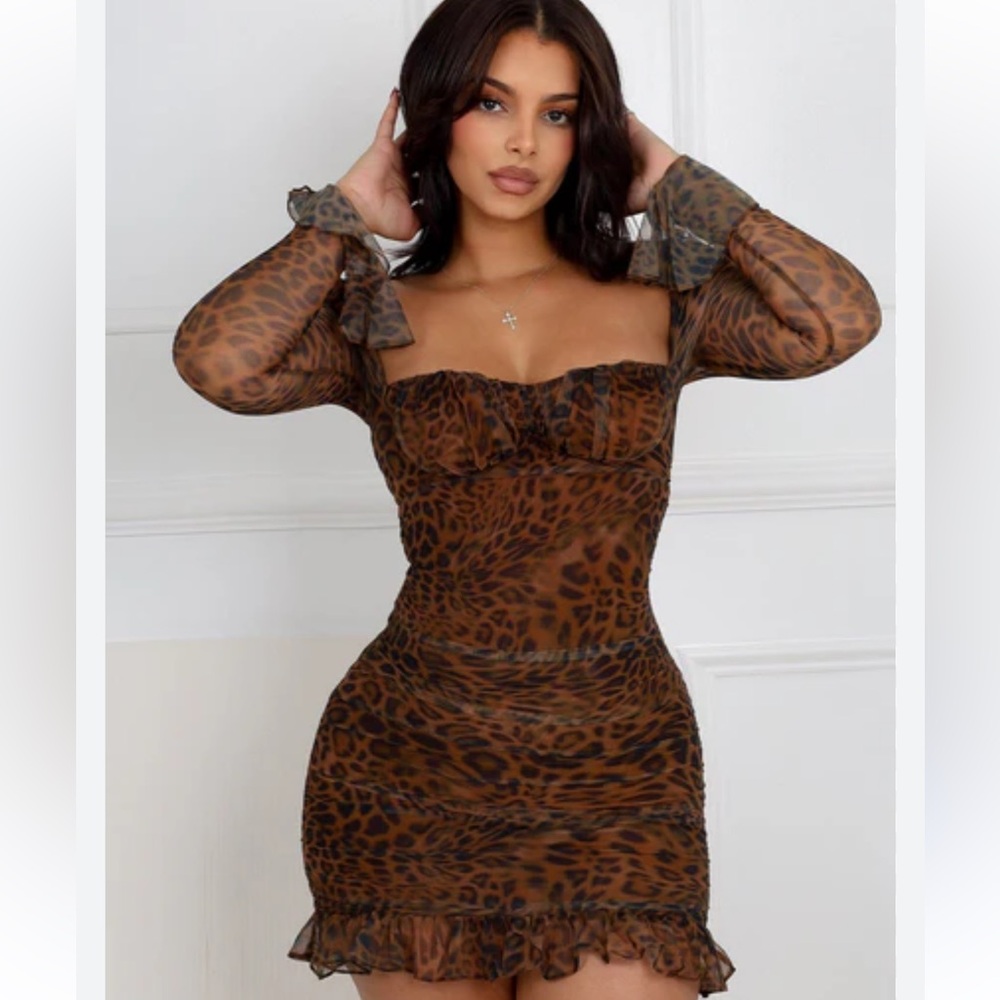Leopard Print Long Sleeve Dress